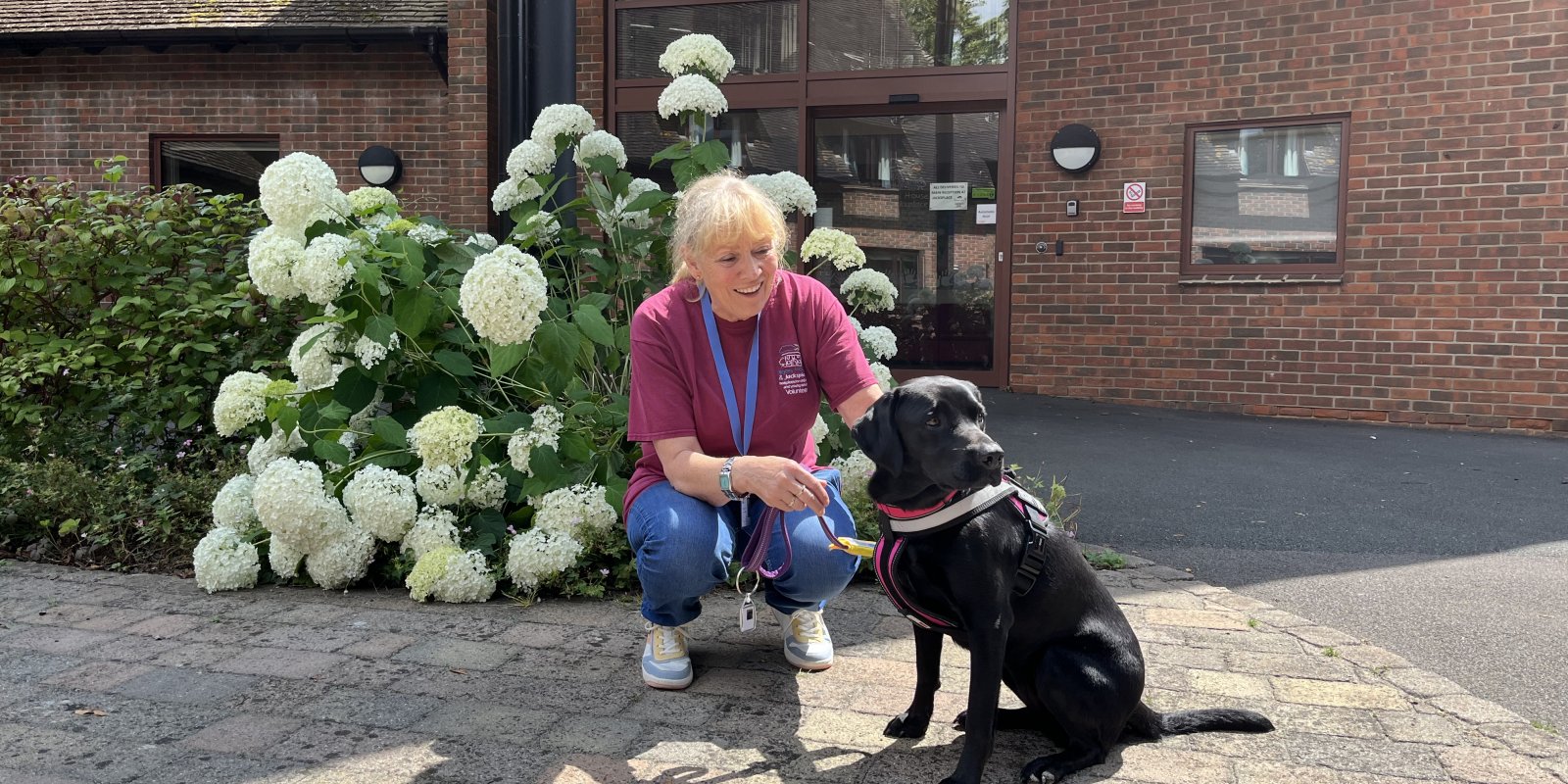 therapy dog storm with nicky outside naomi house